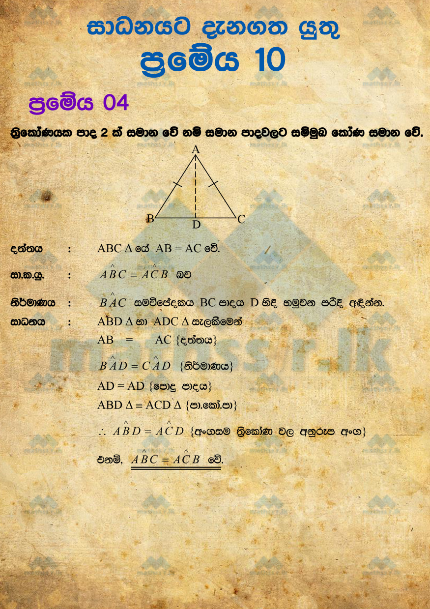 p4.jpg